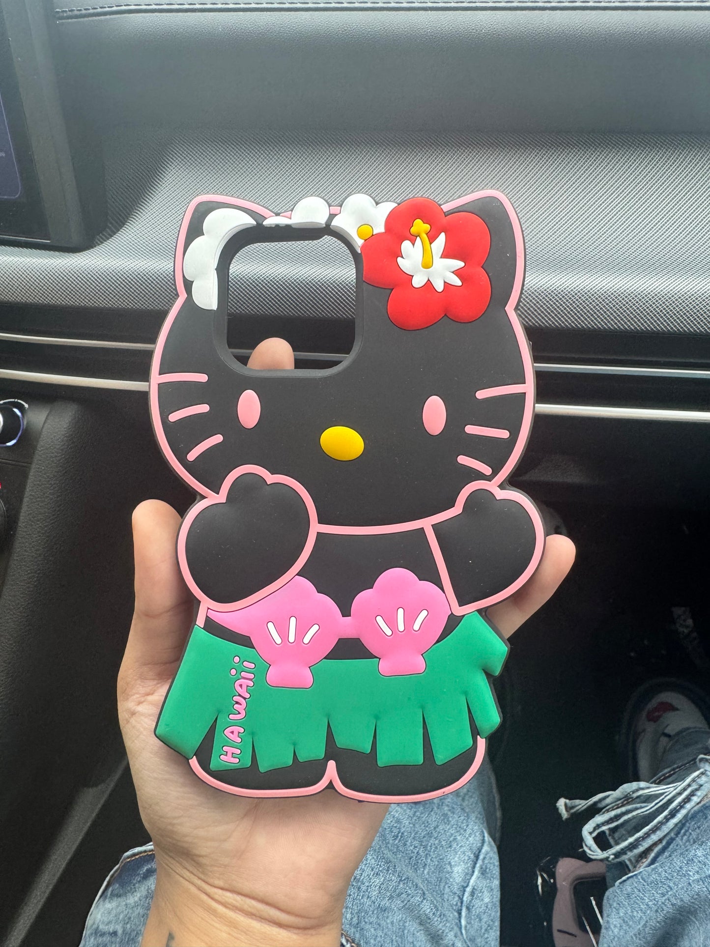beach kitty case